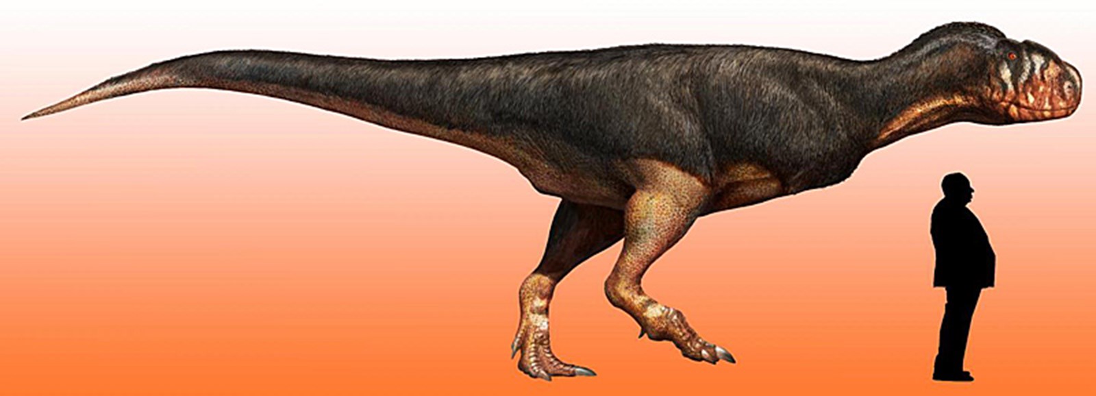 Der fleischfressende Dinosaurier aus der Schublade Paläontologie derStandard.at › Wissenschaft Der fleischfressende Dinosaurier aus der Schublade Paläontologie derStandard.at › Wissenschaft