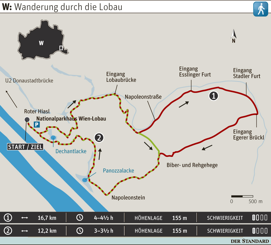 LobauWanderung Ein Lob der Au zu dieser Jahreszeit Wien Reisen
