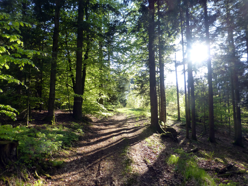 Wanderung zwischen Inn und Hausruckviertel Oberösterreich Urlaub