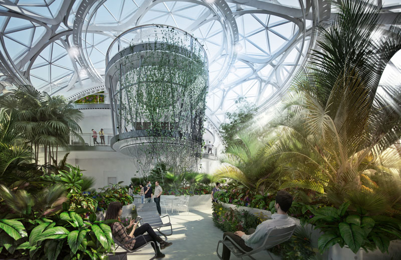 Neue AmazonZentrale Arbeiten im Gewächshaus Jobwelten