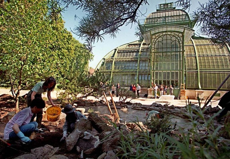 Botanischer Garten In Schonbrunn Konnte Bald Eintritt Kosten 13