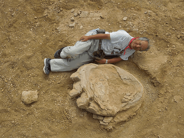 Gigantischer Fussabdruck In Der Wuste Gobi Entdeckt Natur Derstandard At Wissenschaft