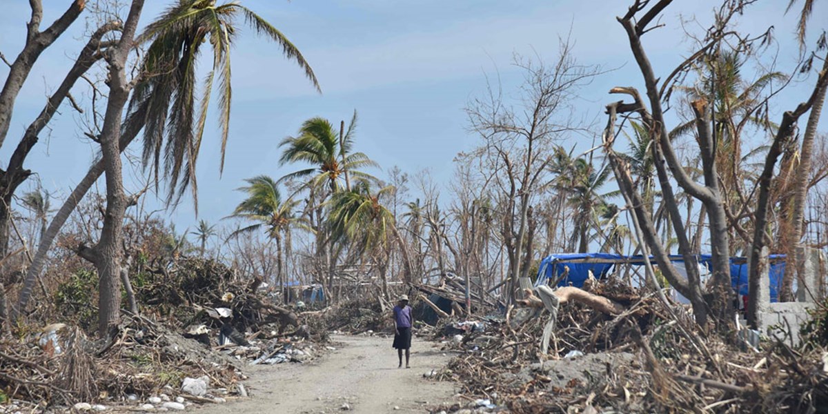 Die Angst vor der erneuten "NGO-Republik" in Haiti ...