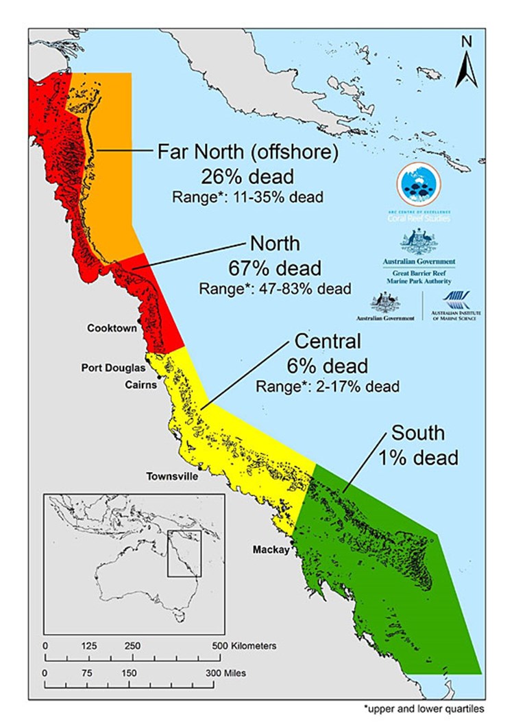 Schlimmste je registrierte Korallenbleiche am Great Barrier Reef