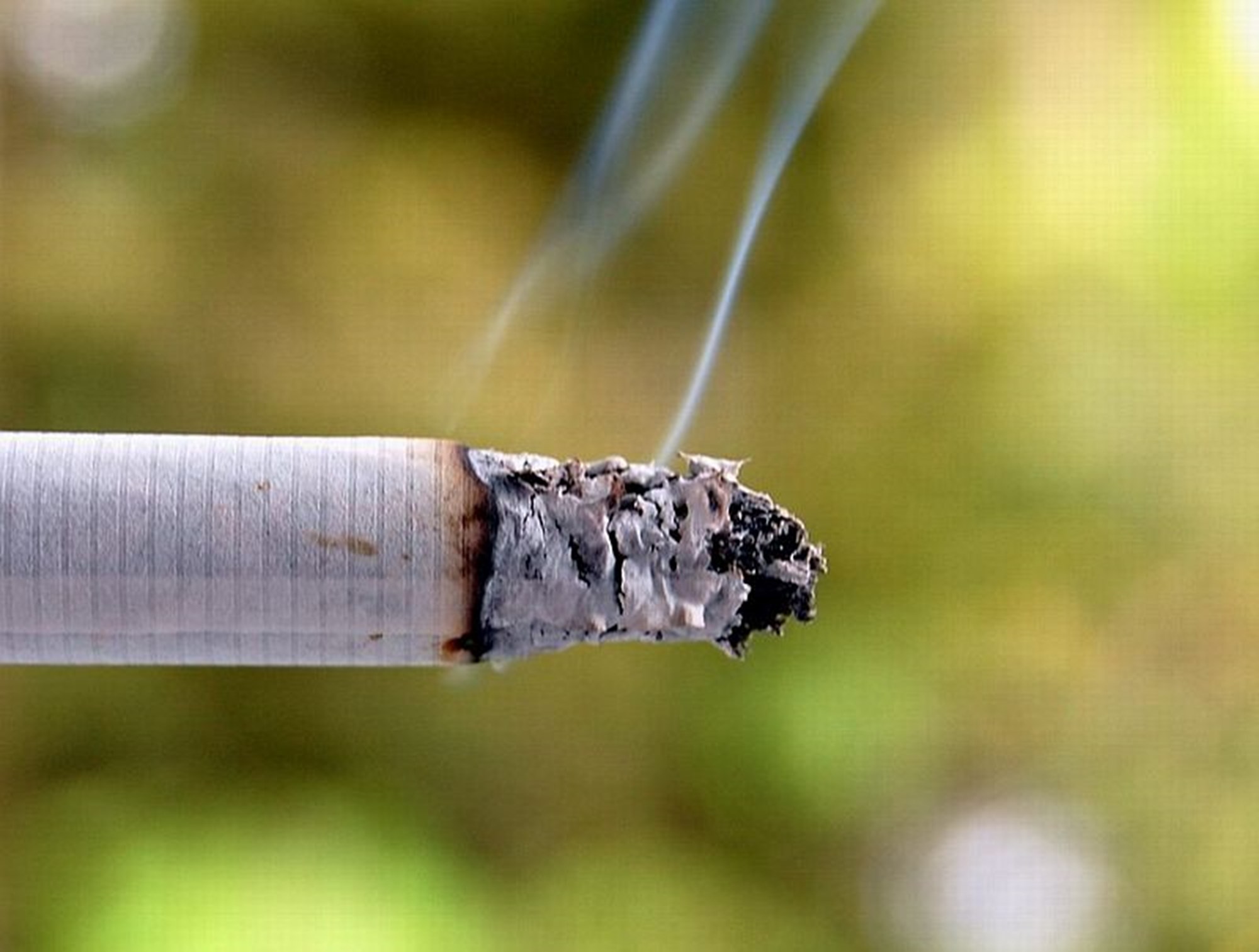 Biblical Meaning Of Smelling Cigarette Smoke 17