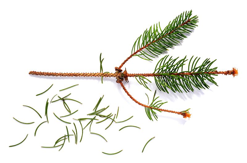 Weihnachten Die Traurigste Zeit Im Jahr Psychische