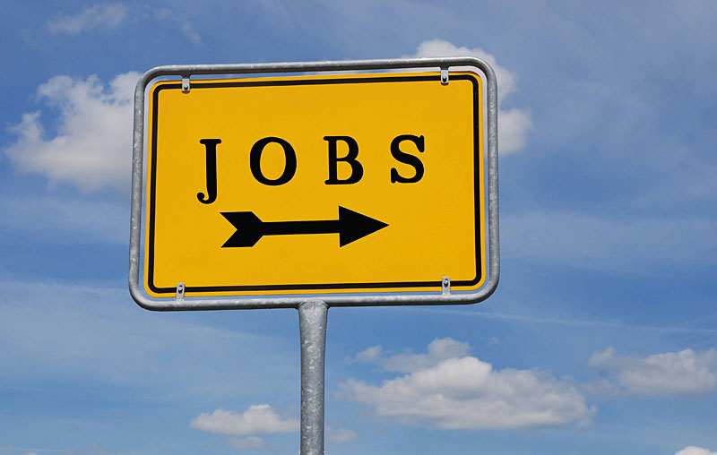 Junge Unternehmen schaffen die meisten Jobs Arbeitsmarkt