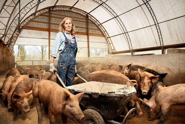 Fotoserie Frauen In Mannerberufen Frauen Und Beruf Derstandard At Karriere