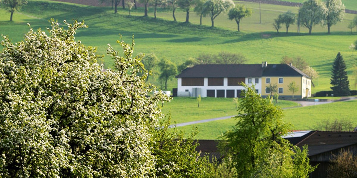 Partnersuche landwirtschaft forum