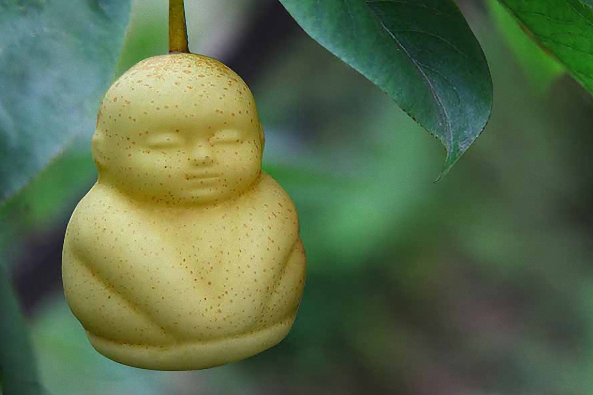 Wer Mochte Eine Birne In Buddhaform Essen Welt Derstandard At Wissenschaft