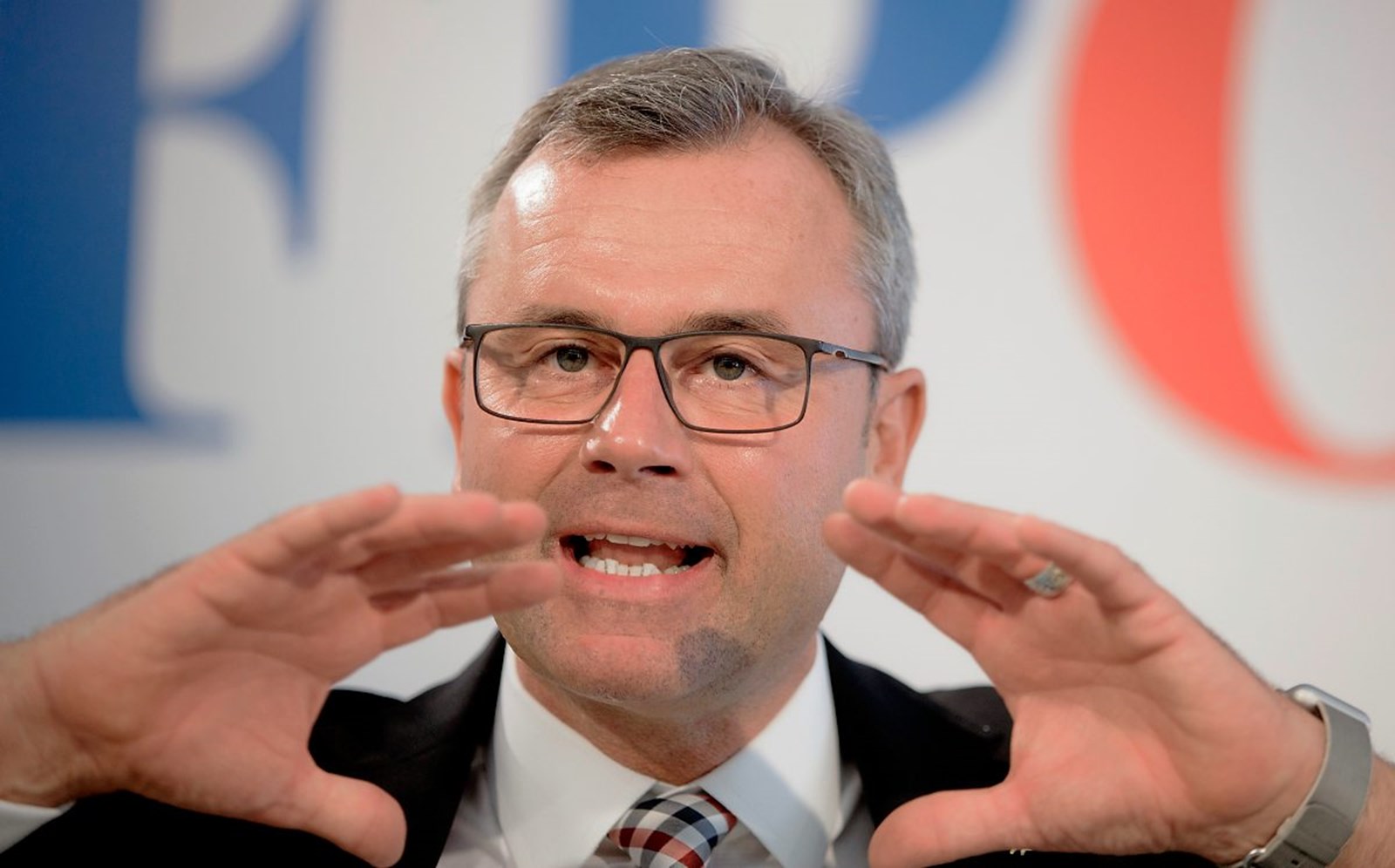 Fpö Hofer / Wahlkampffinale der FPÖ am Stephansplatz ...