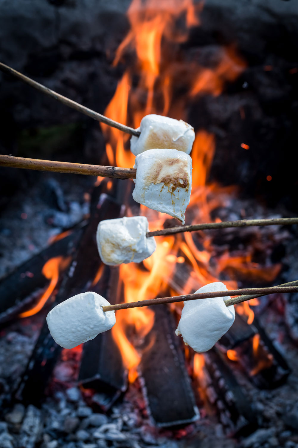 Pro & Kontra Marshmallows am Lagerfeuer grillen Kolumne Pro