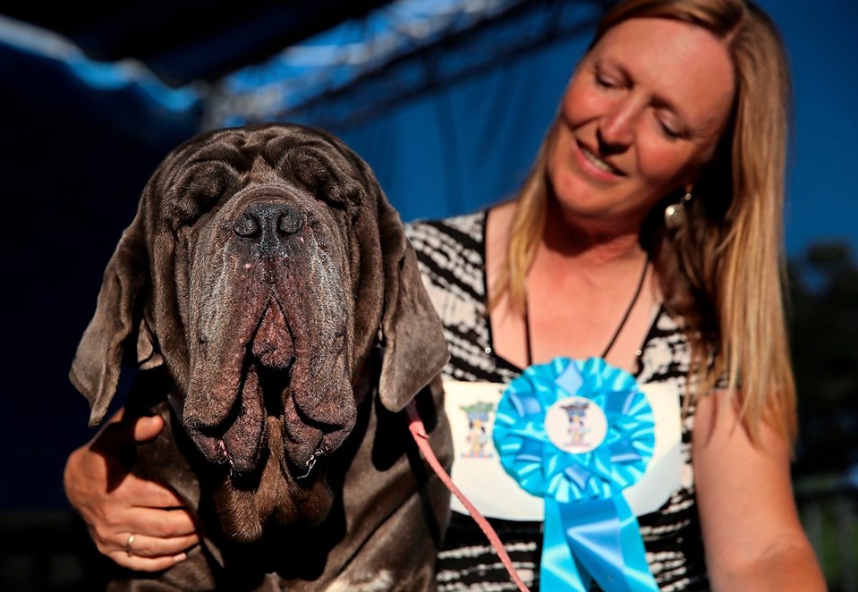 Martha holt sich Titel des hässlichsten Hundes der Welt Tiere