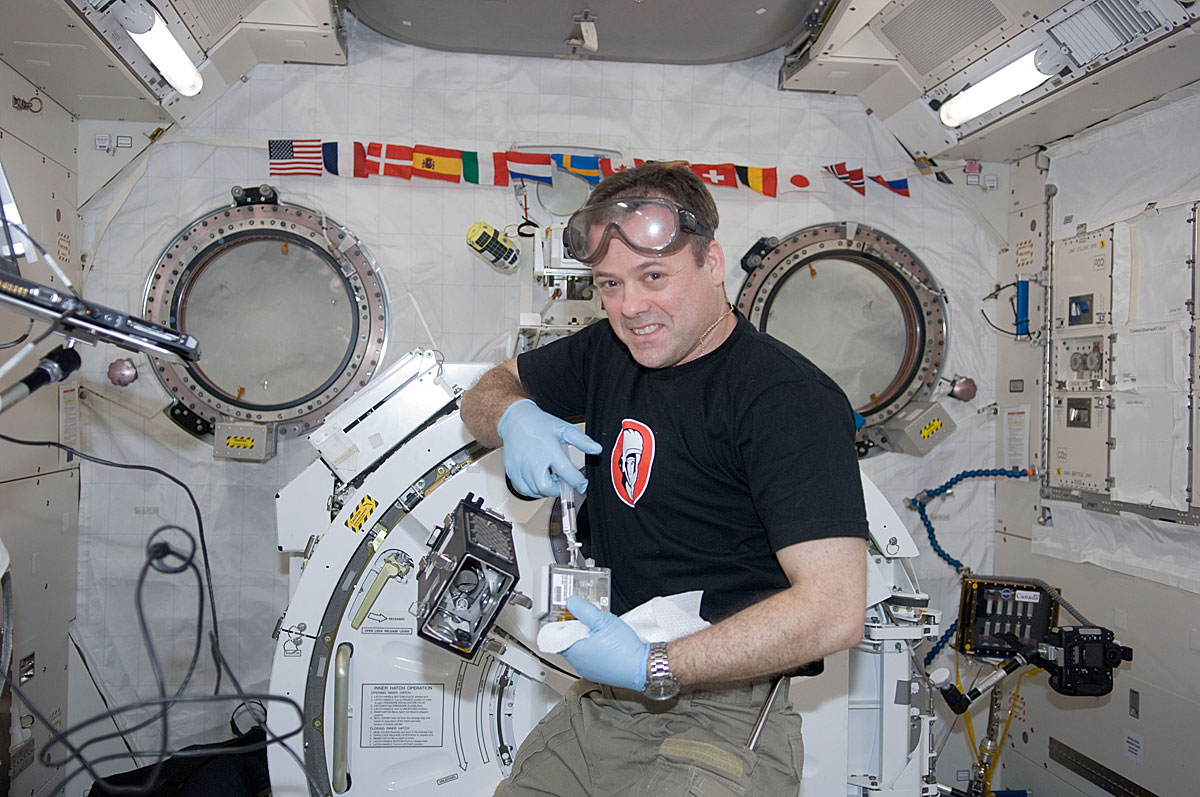 Gurken-Experiment: Anziehungskraft des Wassers gleicht Schwerelosigkeit aus - ISS - derStandard ...