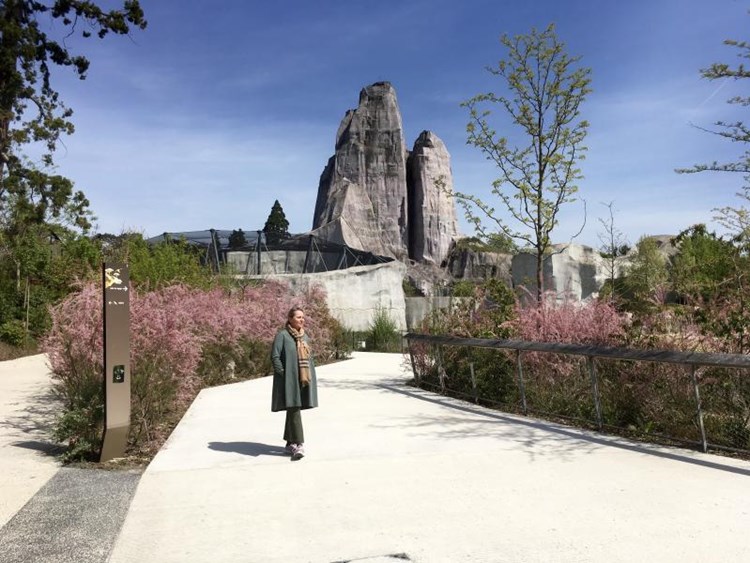 Zoo De Paris Wie Man Einen Tiergarten Auf Vordermann Bringt Reisen Derstandard De Lifestyle