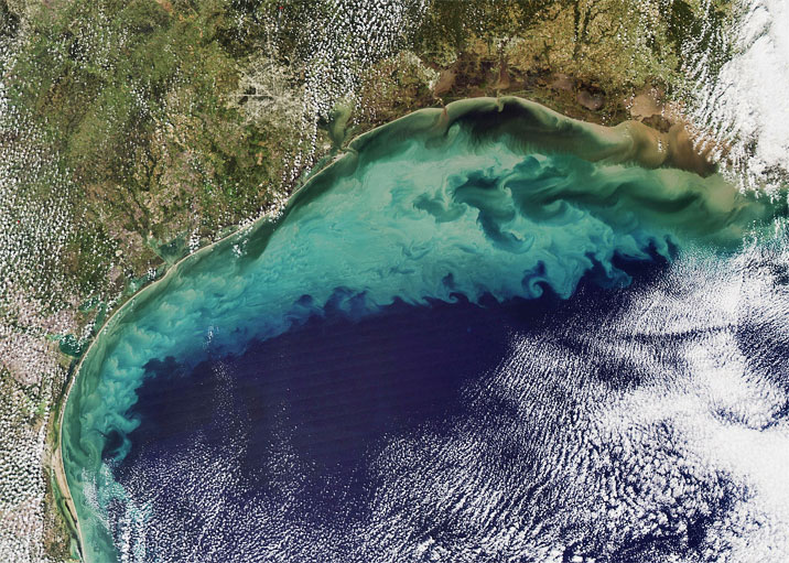 Gigantische Todeszone im Golf von Mexiko [Seite 1 ...