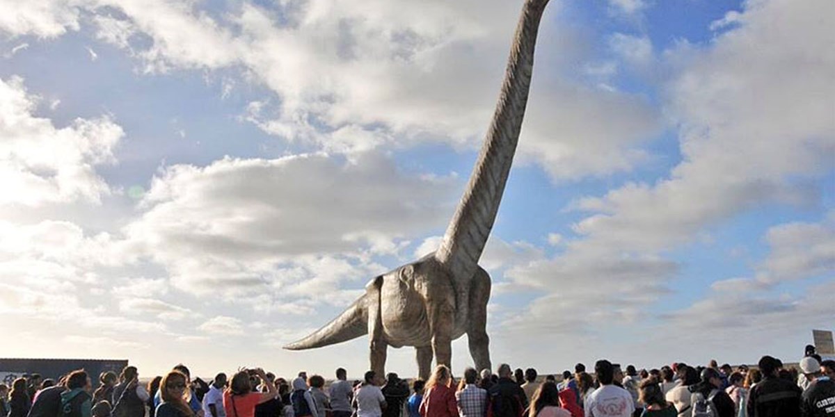 Где большой динозавр. Patagotitan mayorum. Диплодок Аргентинозавр. Самый большой динозавр Аргентинозавр. Аргентинозавр останки.