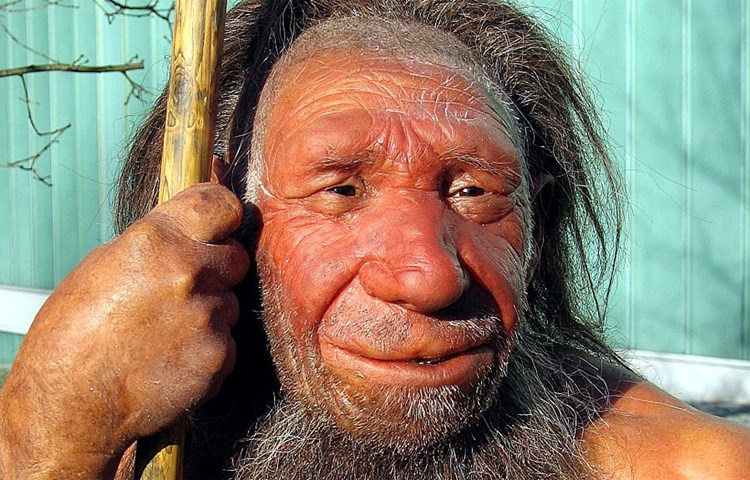 Warum Neandertaler So Grosse Nasen Hatten Archaologie Derstandard De Wissen Und Gesellschaft