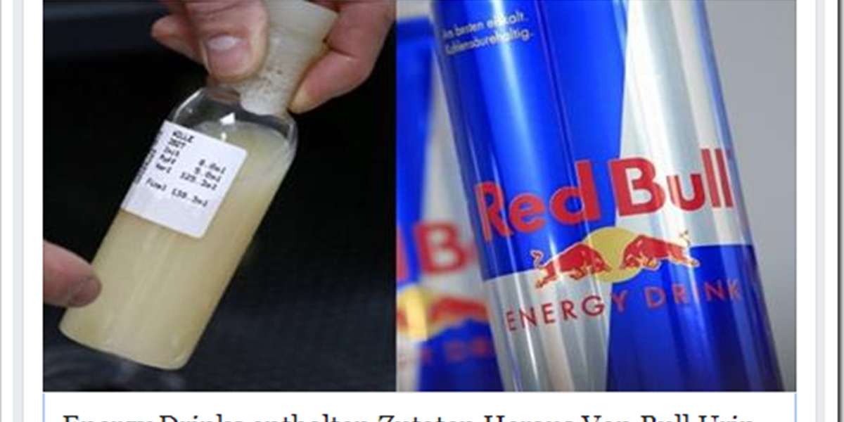 Stiersperma In Red Bull Gerucht Ist Einfach Nicht Totzukriegen Innovationen Derstandard De Web