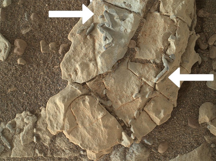 Curiosity Findet Auf Dem Mars Mogliche Fossile Strukturen