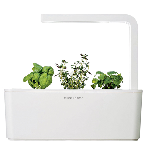 Indoor-Kräutergarten & Sonnenaufgangs-Lampe - Inspektor Gadget