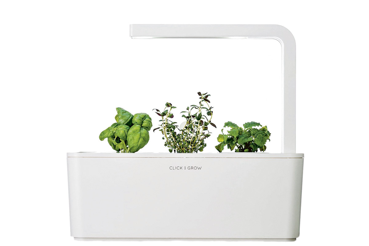 Indoor-Kräutergarten & Sonnenaufgangs-Lampe [Seite 2] - Inspektor