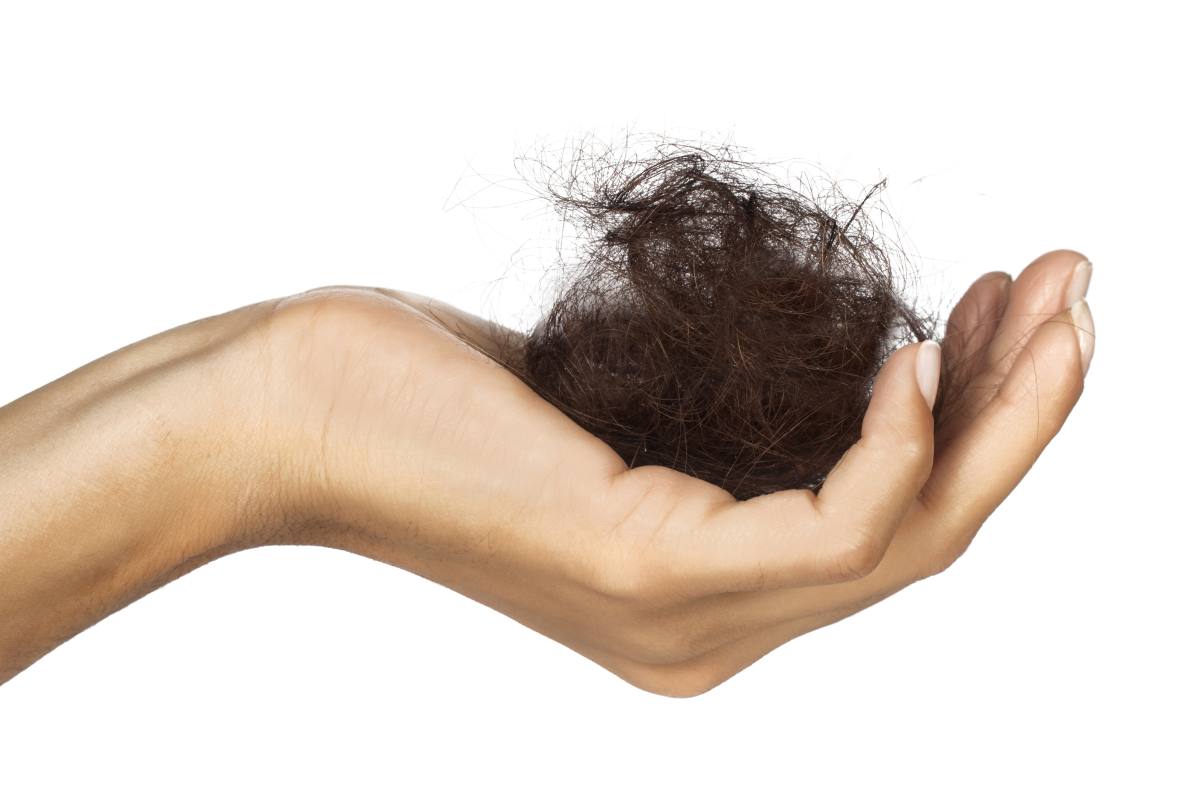 haarausfall was das haar schutter
