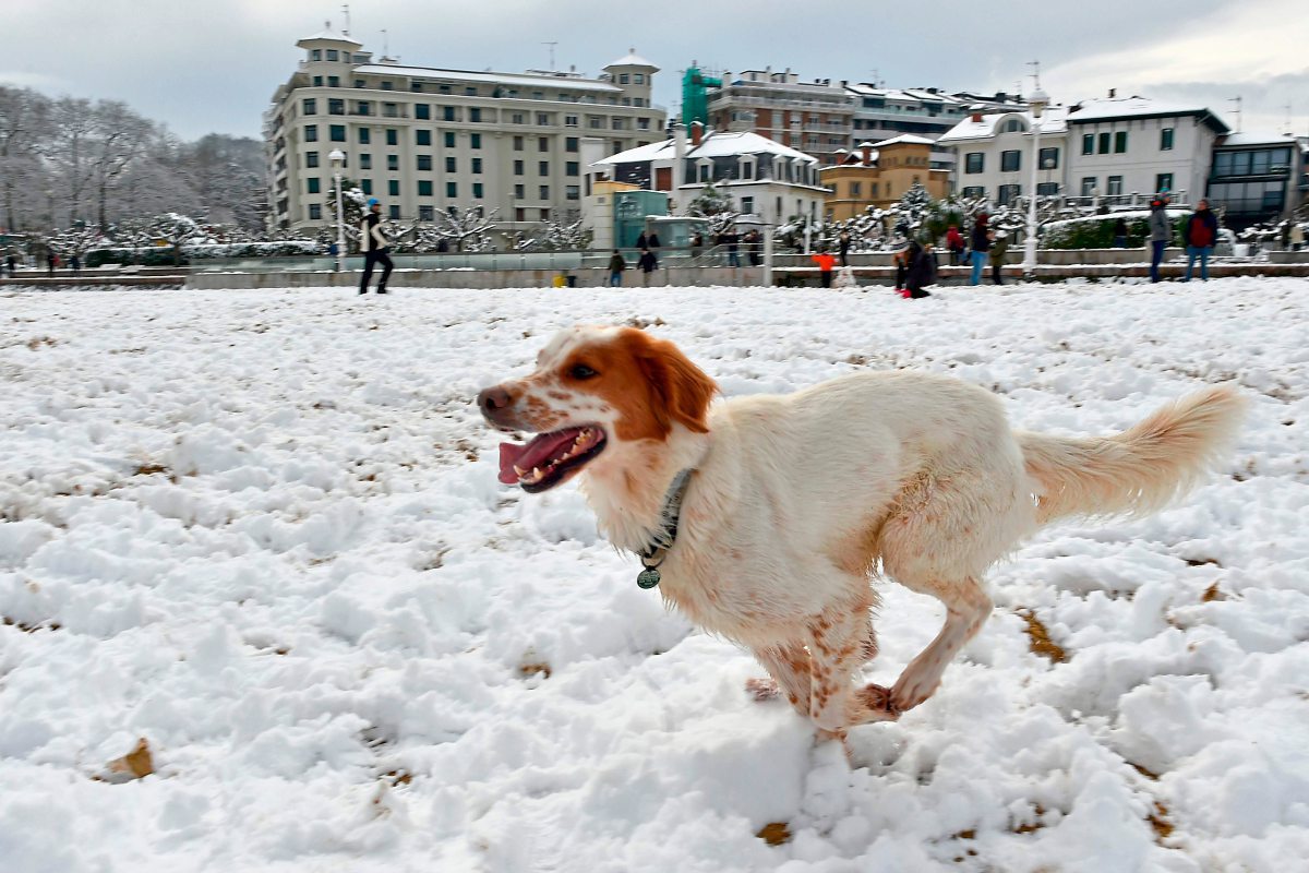 Hartnackiges Winterwetter Nur Langsam Wird Es Wieder Warmer