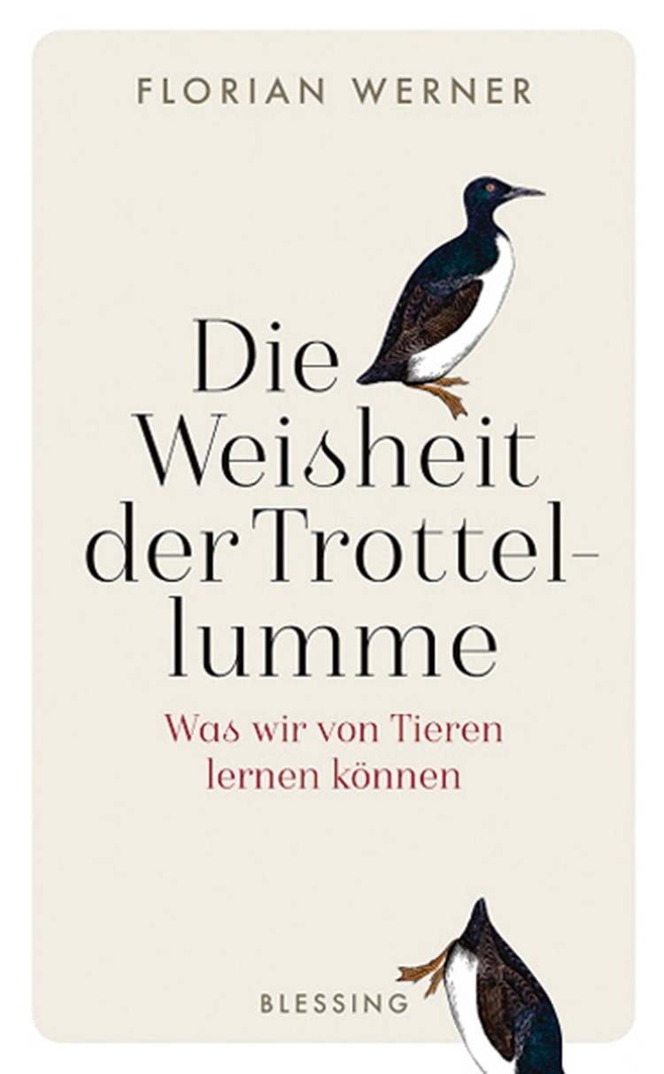 Was Wir Von Tieren Lernen Konnen Cure Das Kritische Gesundheitsmagazin Derstandard At Gesundheit