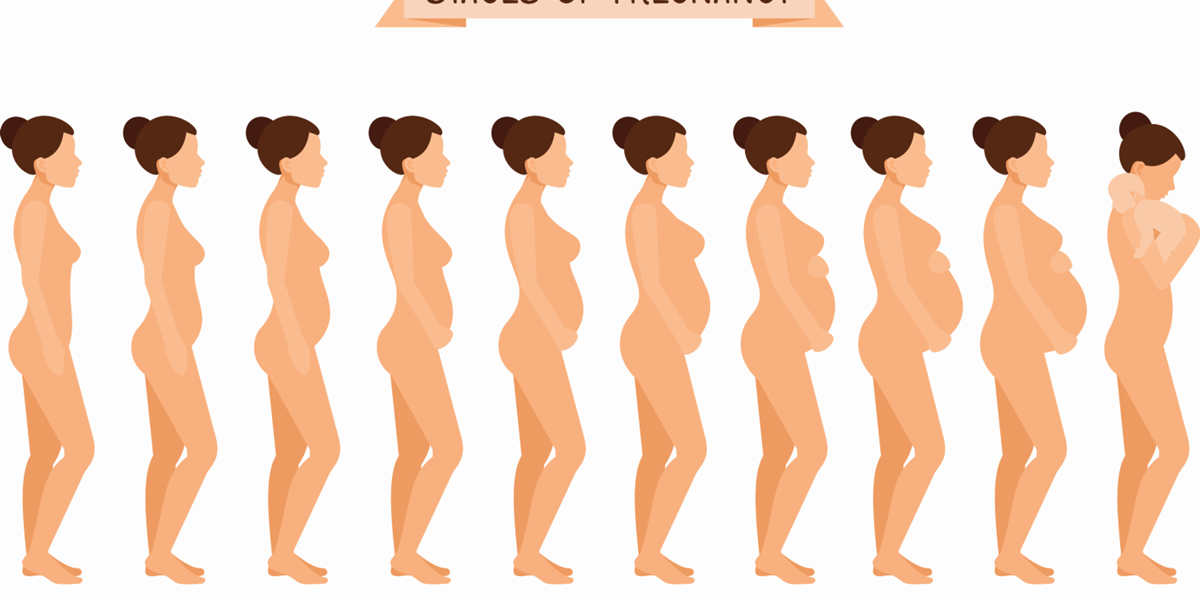 Schwangerschafts-Abc: Was sind die wichtigsten Begriffe ...