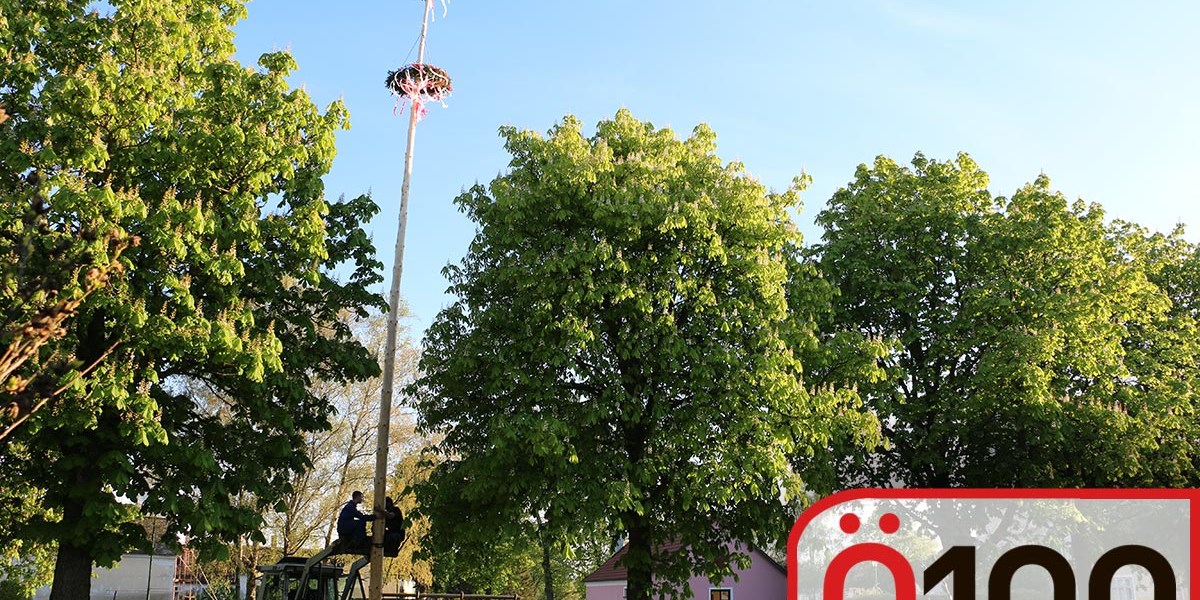 Krumpendorf am wrthersee mann sucht frau. Kaprun Ernstbrunn mnner single aktivitten kappl kennenlernen. Wullersdorf meine stadt partnersuche. Single aktivitten kappl Podersdorf am see single