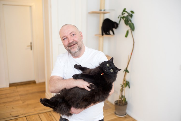 Das Sind Die Beliebtesten Privatunterkunfte Mit Katze Reisen Aktuell Derstandard De Lifestyle