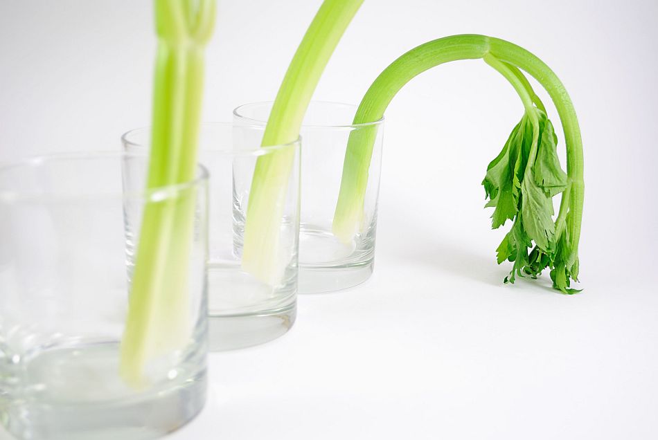 Erektionsstorungen Keine Frage Des Alters Sexualitat Derstandard At Gesundheit