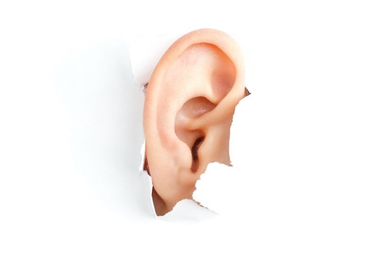 Wenn Die Ohren Kapitulieren Hno Derstandard At Gesundheit