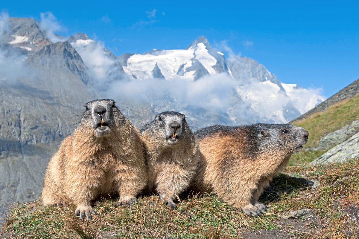 foto: imago/imagebroker