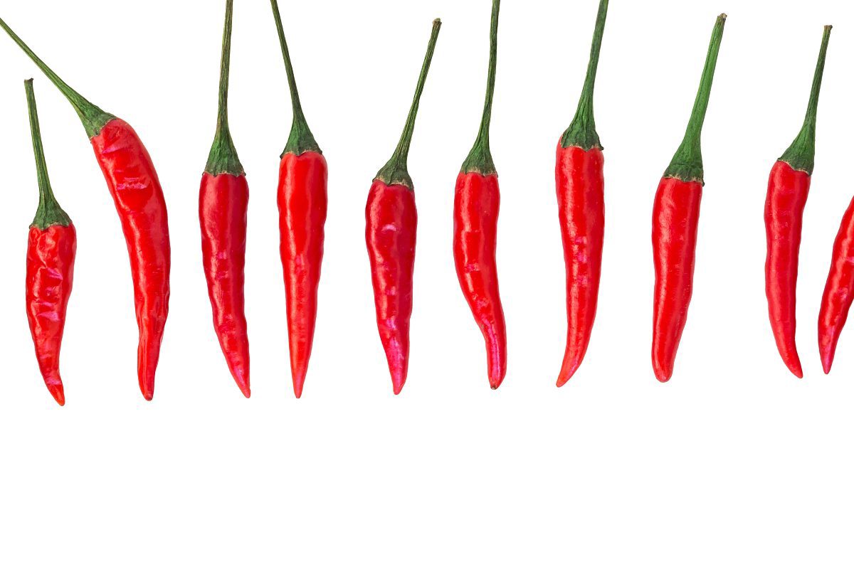 Mit ChiliSchärfe gegen die Kilos kämpfen Forschung Spezial