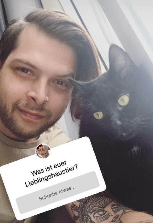 Wo Findet Man Die Archivierten Bilder Bei Instagram