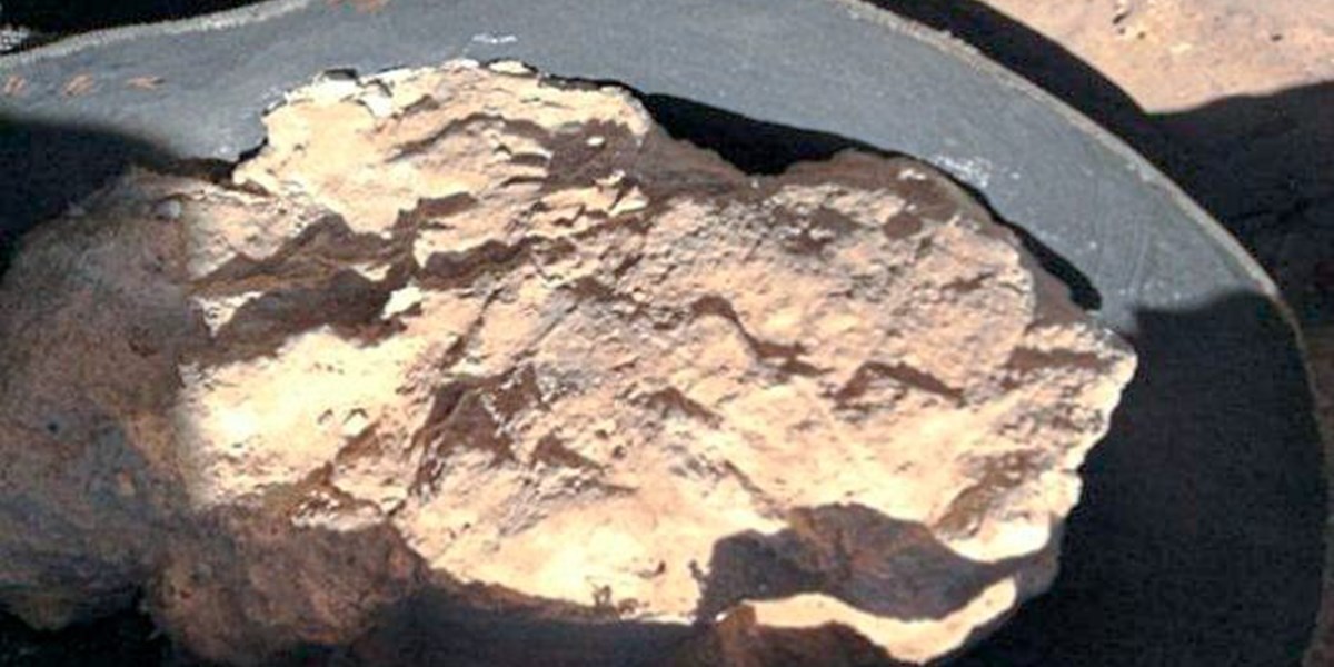 3 200 Jahre Alter Potenziell Todlicher Kase In Agypten Entdeckt