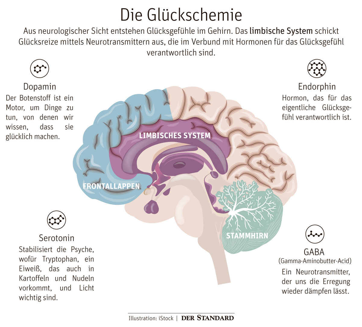 Wie Glück entsteht: Was wir tun müssen, um zufrieden zu sein - Mensch ...
