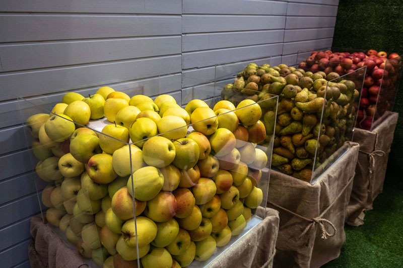 Wie Spanien Zum Bio Riesen Aufsteigt Umwelt Landwirtschaft Klima Derstandard De Wirtschaft