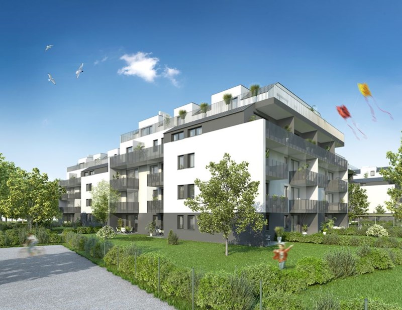 singles in wiener neustadt