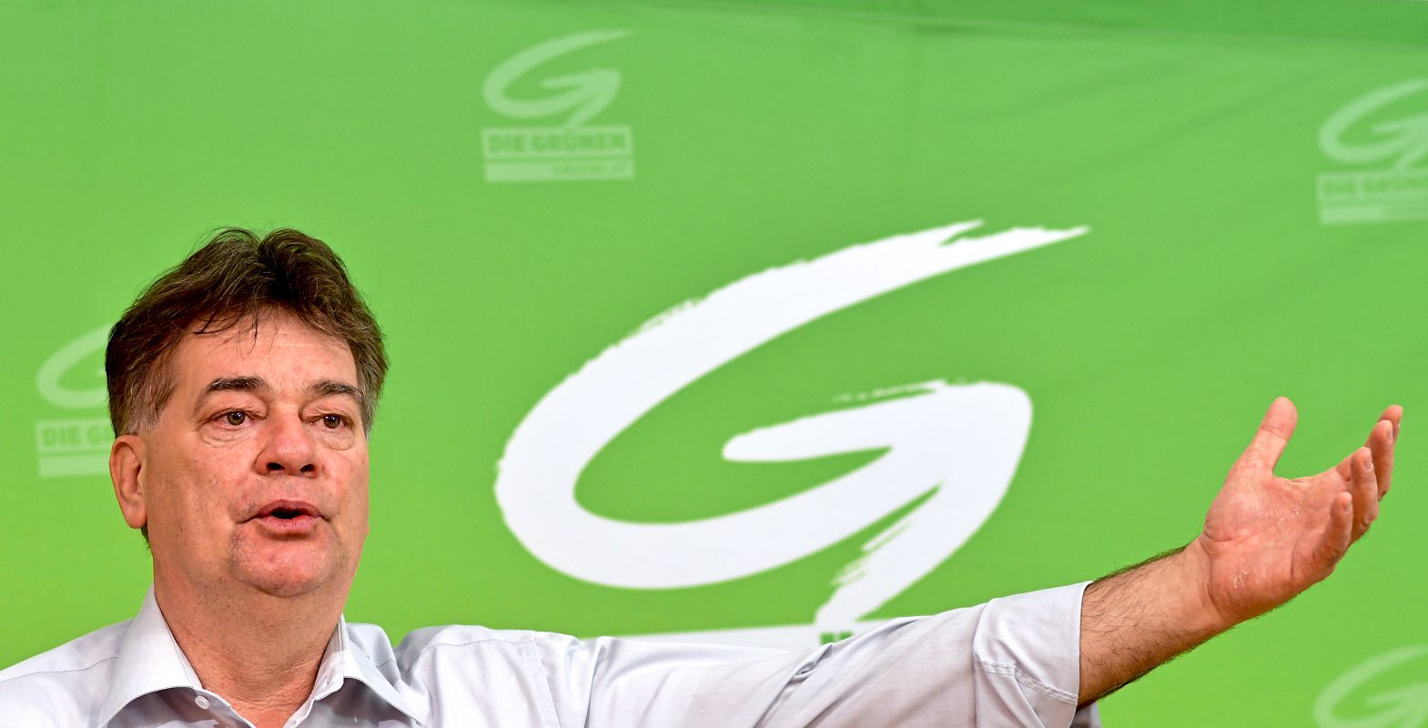 Werner Kogler Zum Bundessprecher Der Grunen Gewahlt Grune Derstandard At Inland