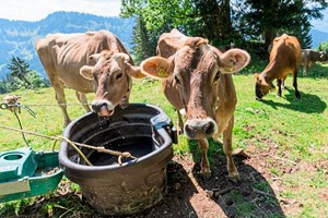 Dating kommerziell für Landwirte