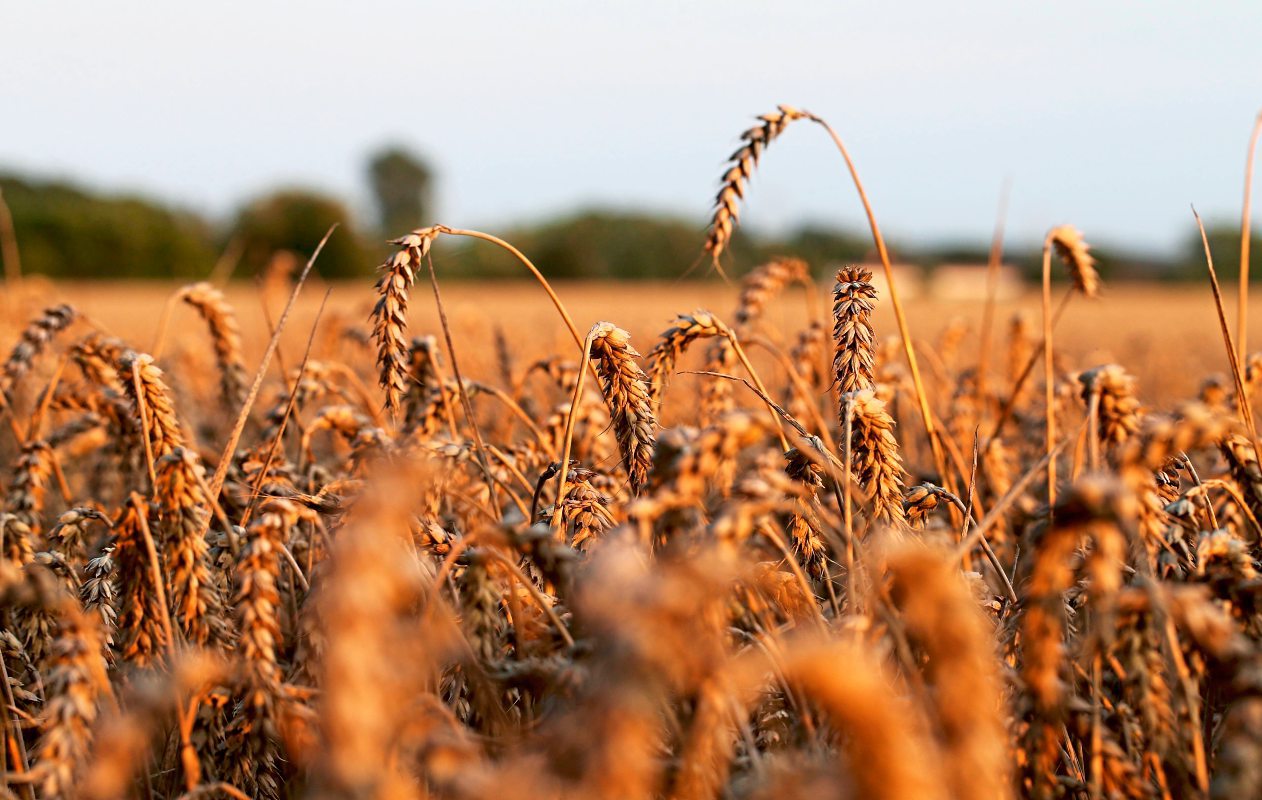 Weltbank Sagt Klimahilfe Von 0 Milliarden Dollar Fur Entwicklungslander Zu Umwelt Landwirtschaft Klima Derstandard At Wirtschaft