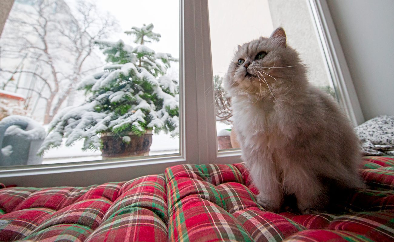 Die nächsten Tage wird es verbreitet tief winterlich und kalt Wetternachrichten derStandard