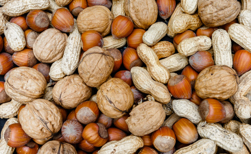 Nüsse essen schützt vor zusätzlichen Kilos - Gesunde Ernährung ...