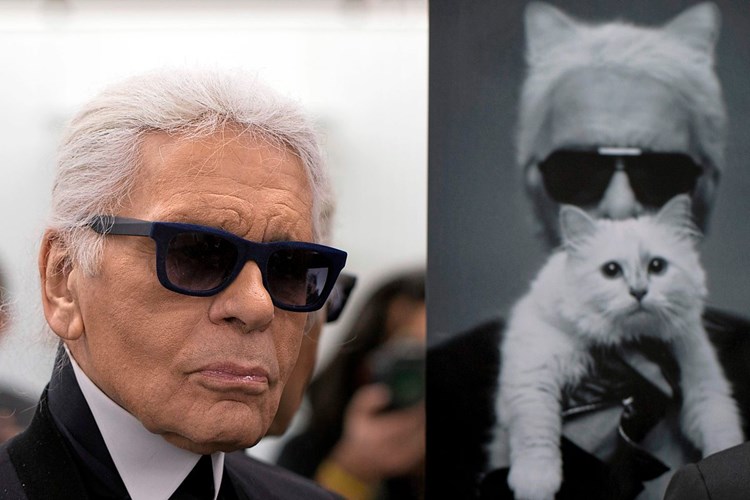 Mode Katze Vatermorder Karl Lagerfeld In Bildern Modedesigner Models Derstandard At Lifestyle