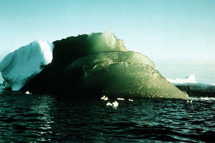 Warum Sind Manche Eisberge Grun Natur Derstandard At Wissenschaft