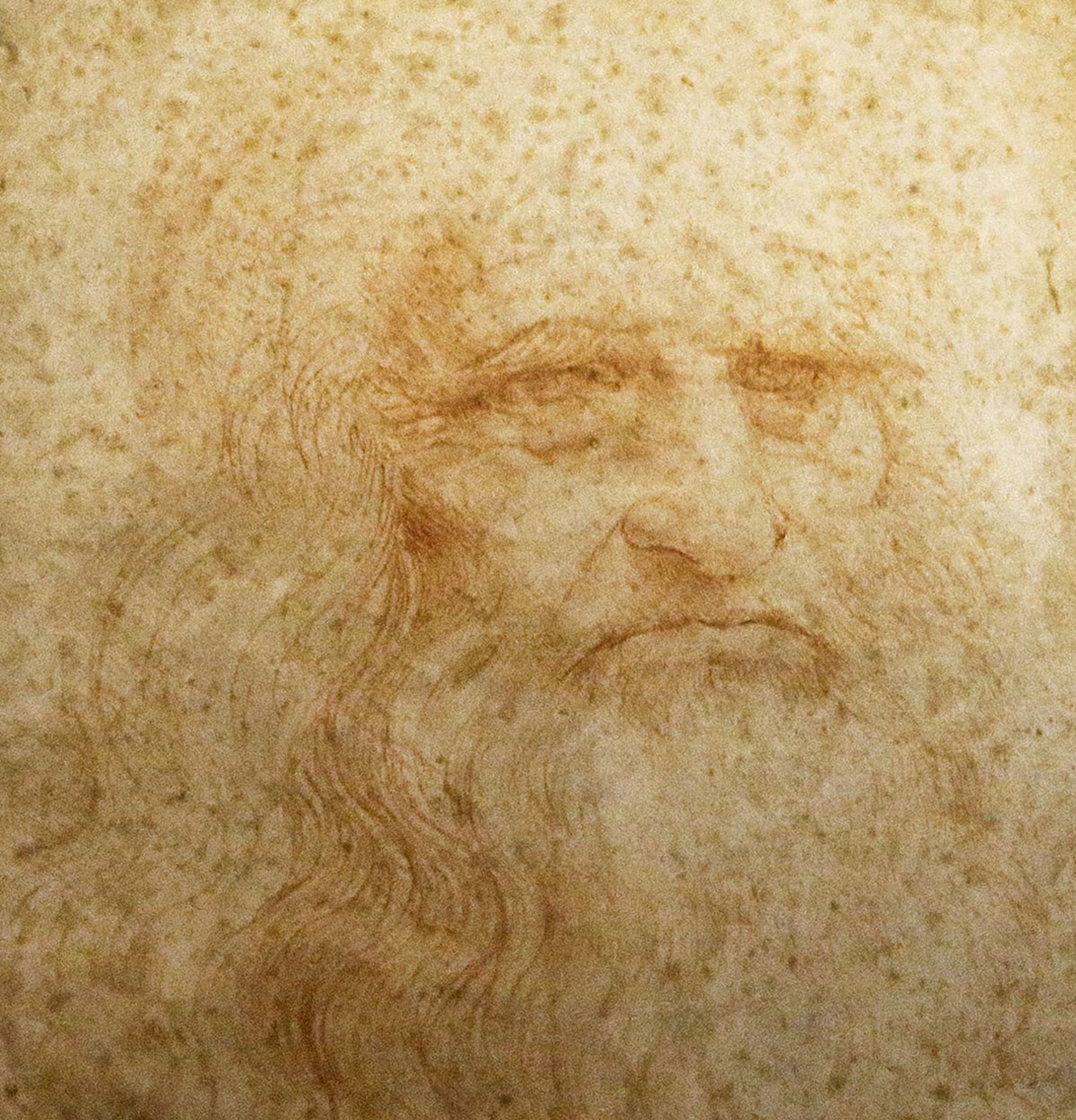 Haarsträhne entdeckt: Forscher wollen Leonardo da Vincis DNA-Code knacken – derStandard.at