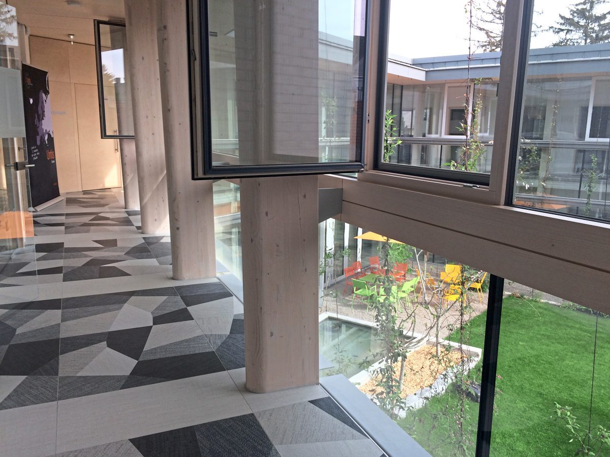 Vorzeigebauten in Niederösterreich: Aus gutem Holz geschnitzt - Wohnen